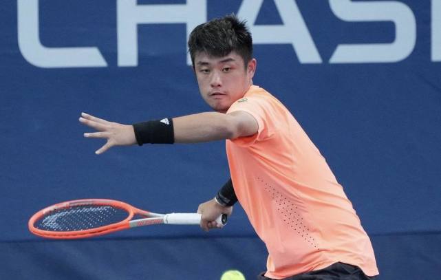 意义与展望 意义与展望